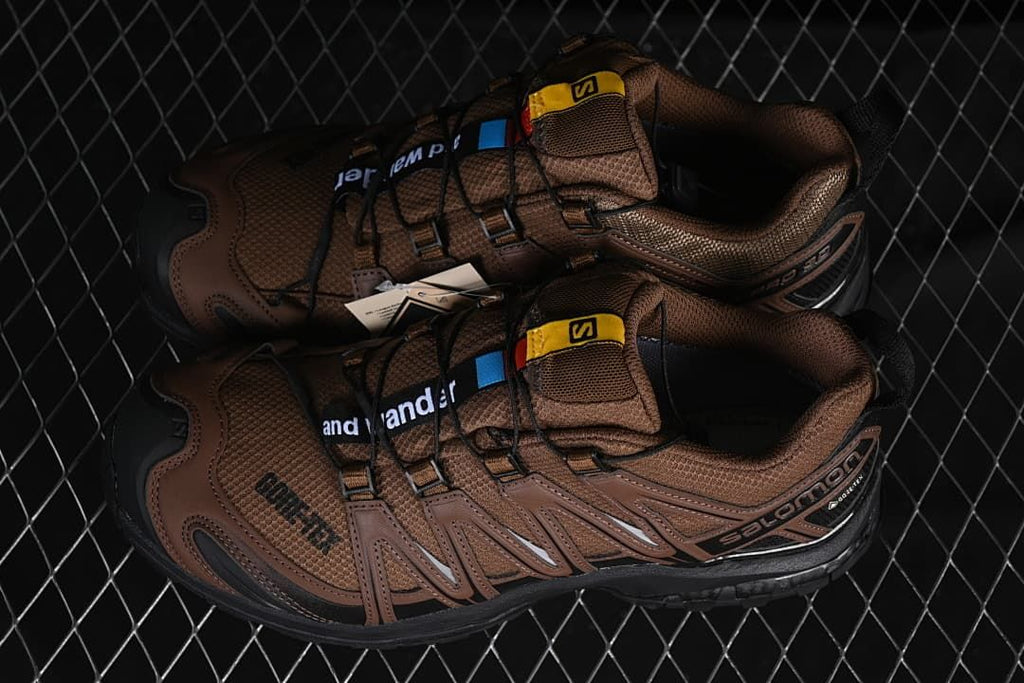 Salomon XA Pro 3D GTX and wander Trail Shoes Brown 474121