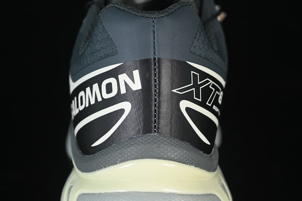 Salomon XT-6 GTX Outdoor Sneakers, Urban Chic/Black/Lime Cream