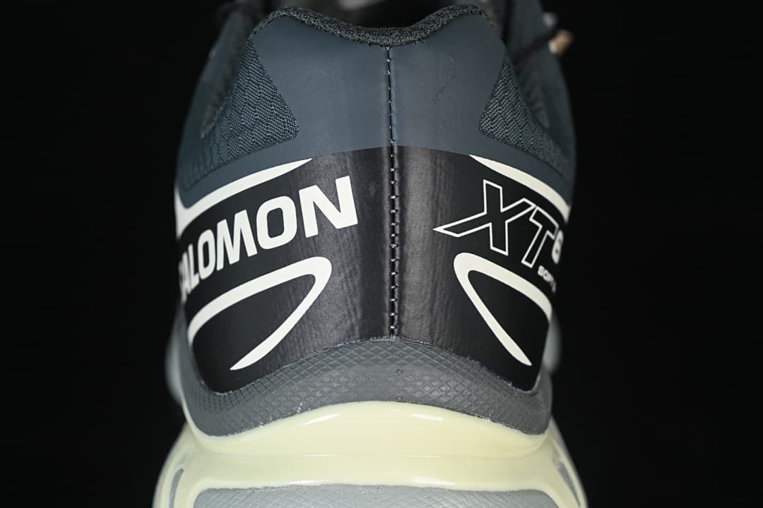 Salomon XT-6 GTX Outdoor Sneakers, Urban Chic/Black/Lime Cream
