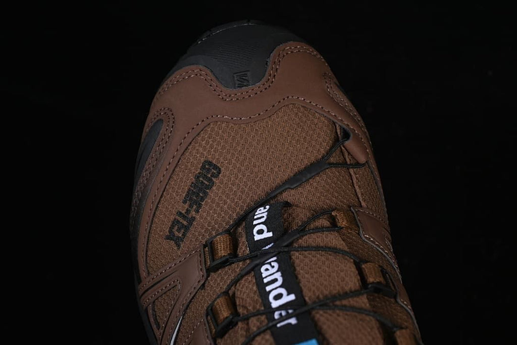 Salomon XA Pro 3D GTX and wander Trail Shoes Brown 474121