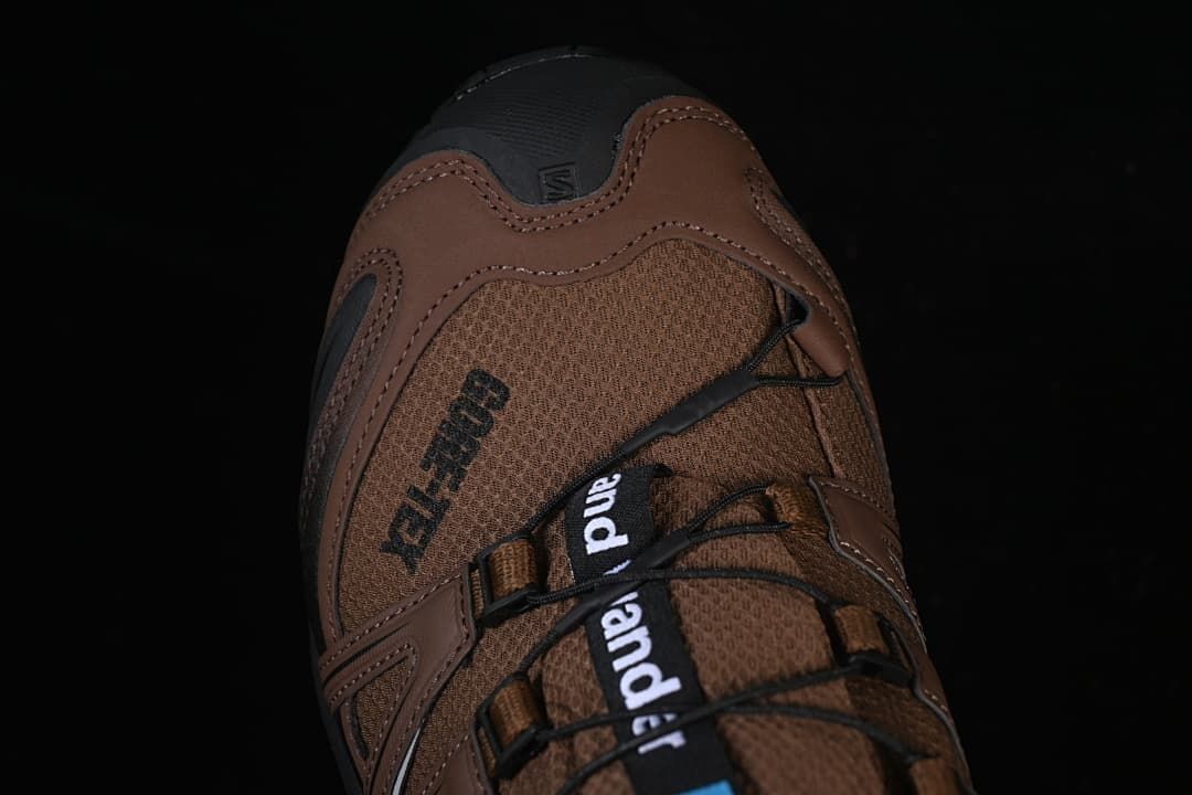 Salomon XA Pro 3D GTX and wander Trail Shoes Brown 474121
