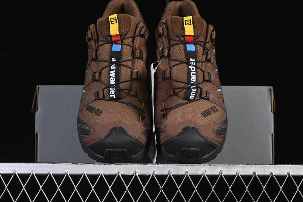 Salomon XA Pro 3D GTX and wander Trail Shoes Brown 474121