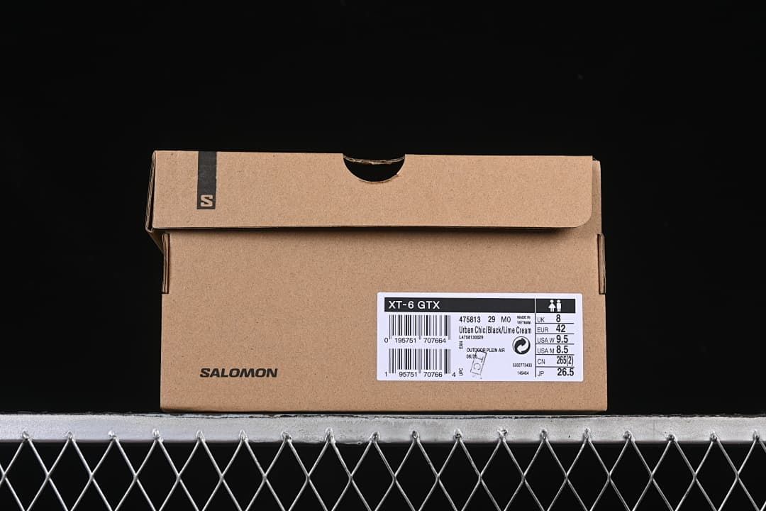 Salomon XT-6 GTX Outdoor Sneakers, Urban Chic/Black/Lime Cream